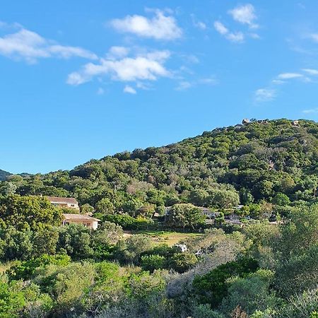 Bel Appartement Dans Hameau Calme Bonifacio  Buitenkant foto