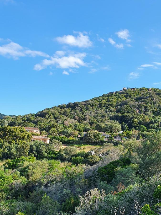 Bel Appartement Dans Hameau Calme Bonifacio  Buitenkant foto